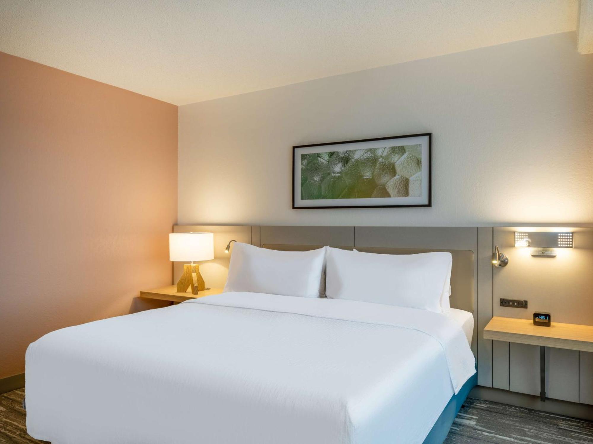 Hilton Garden Downtown 3*