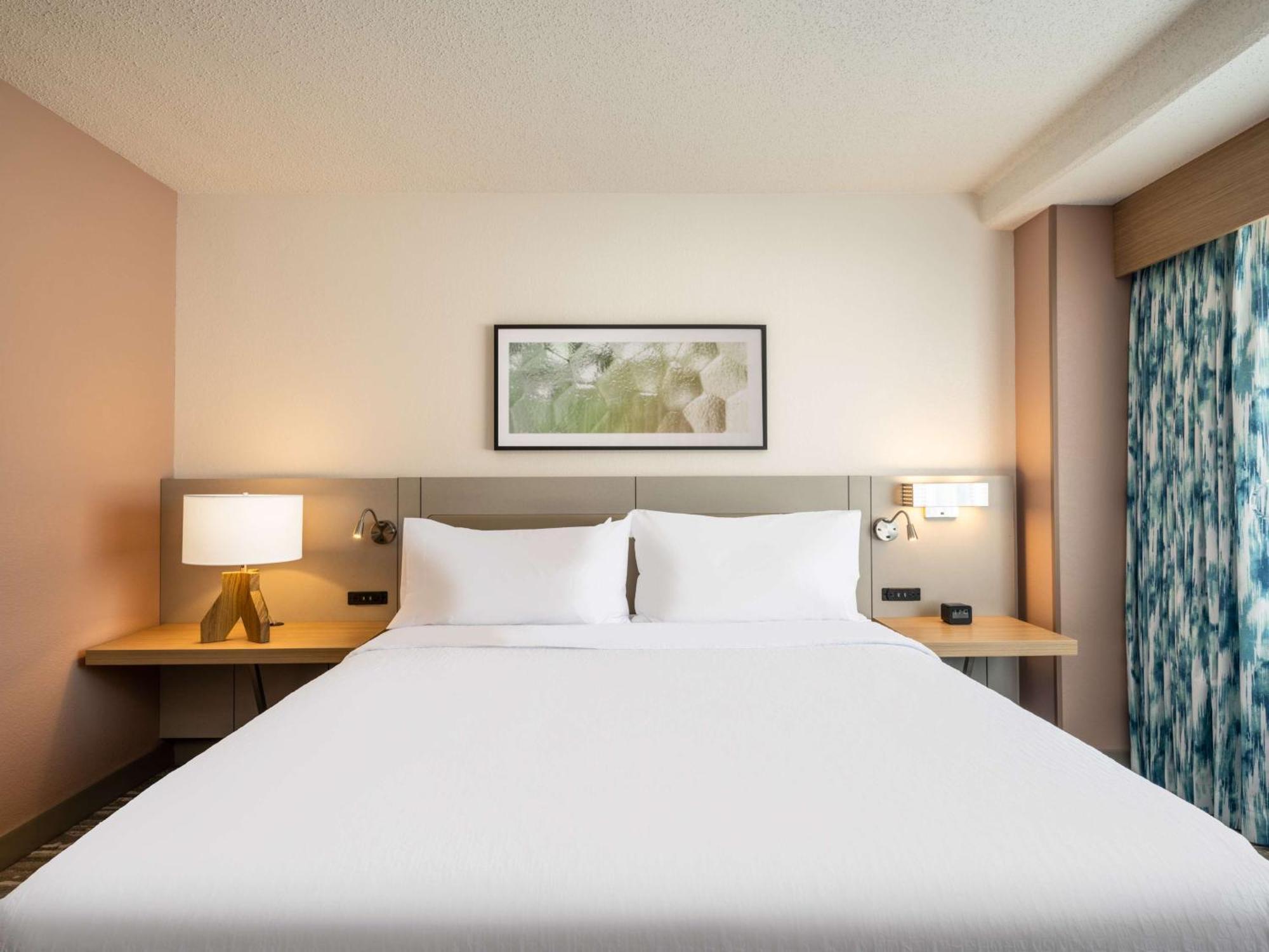 Hotel Hilton Garden Downtown