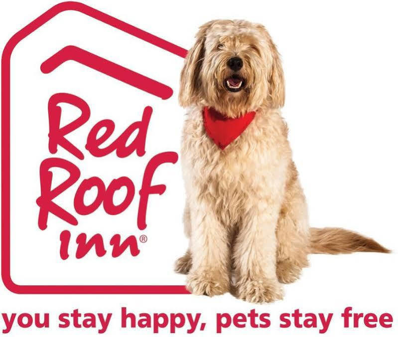 Motel Red Roof